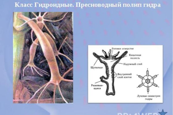 Mega sb топ 1 площадка заходить