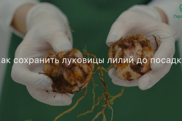 Craken что это