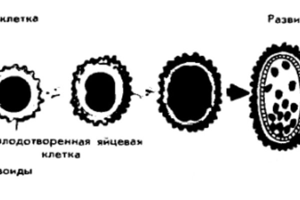 Кракен площадка vk2 top