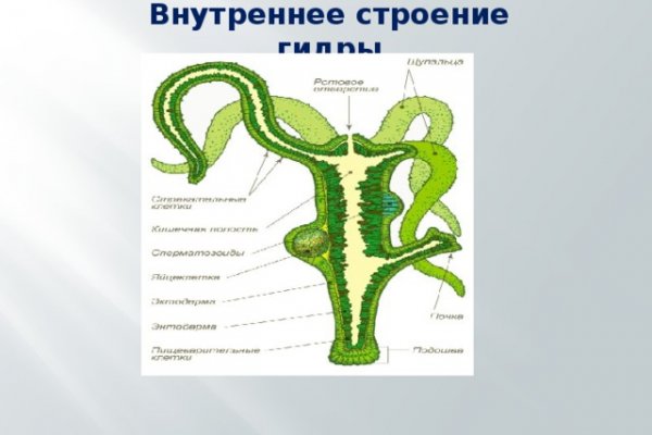 Мега онион рабочее