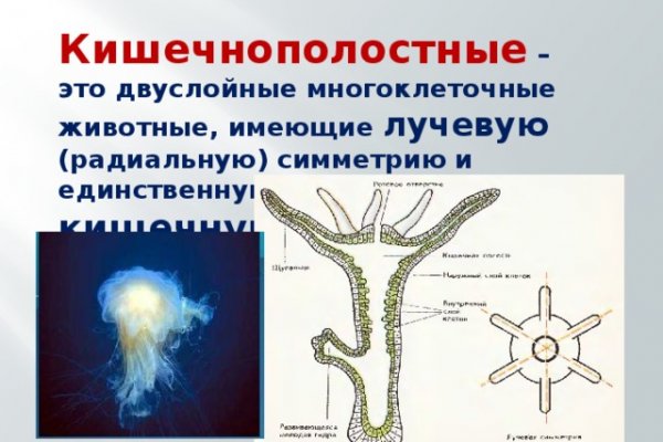 Как в тор браузере зайти на мегу