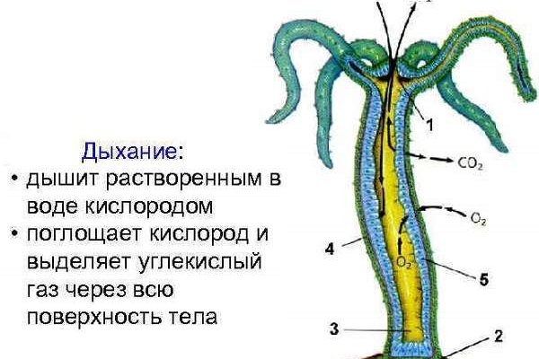 Кракен сайт пользователь не найден