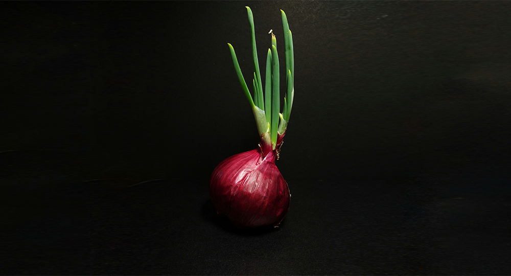 Mega вы забанены mega ssylka onion com